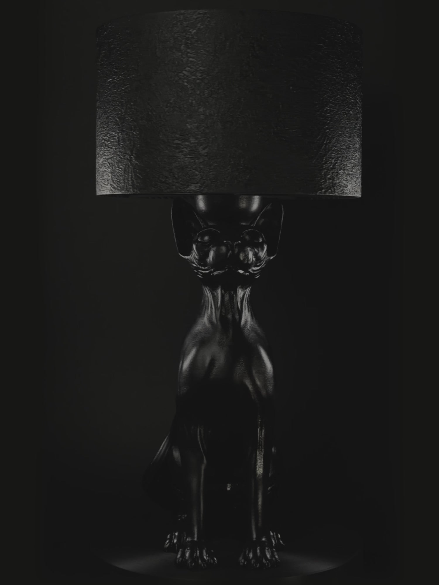 The Watcher