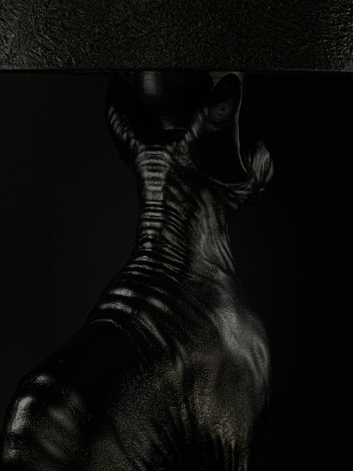 Close-up of the sculpted neck folds and shoulders on the back of The Watcher Sphynx cat lamp.