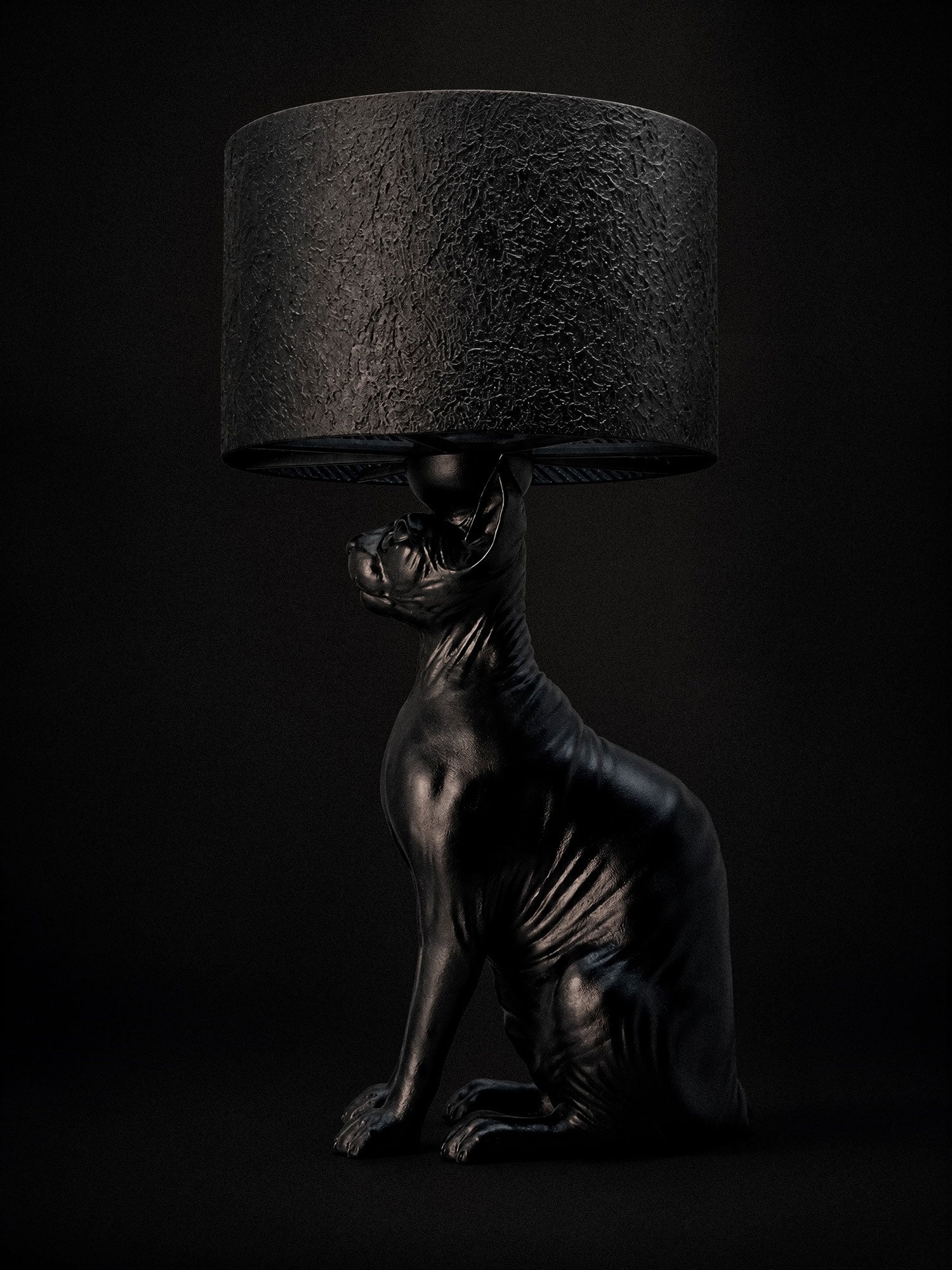 The Watcher