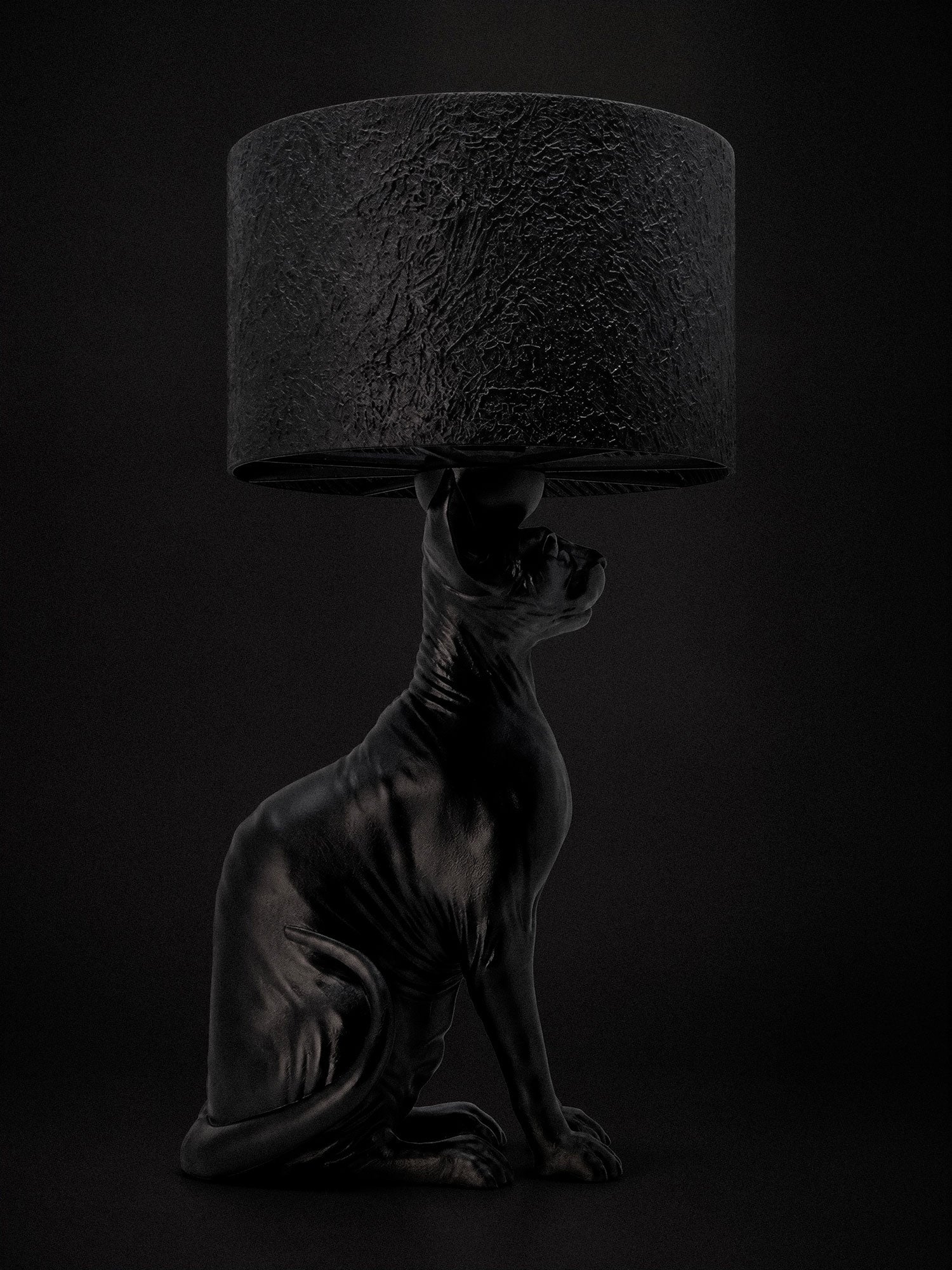 The Watcher