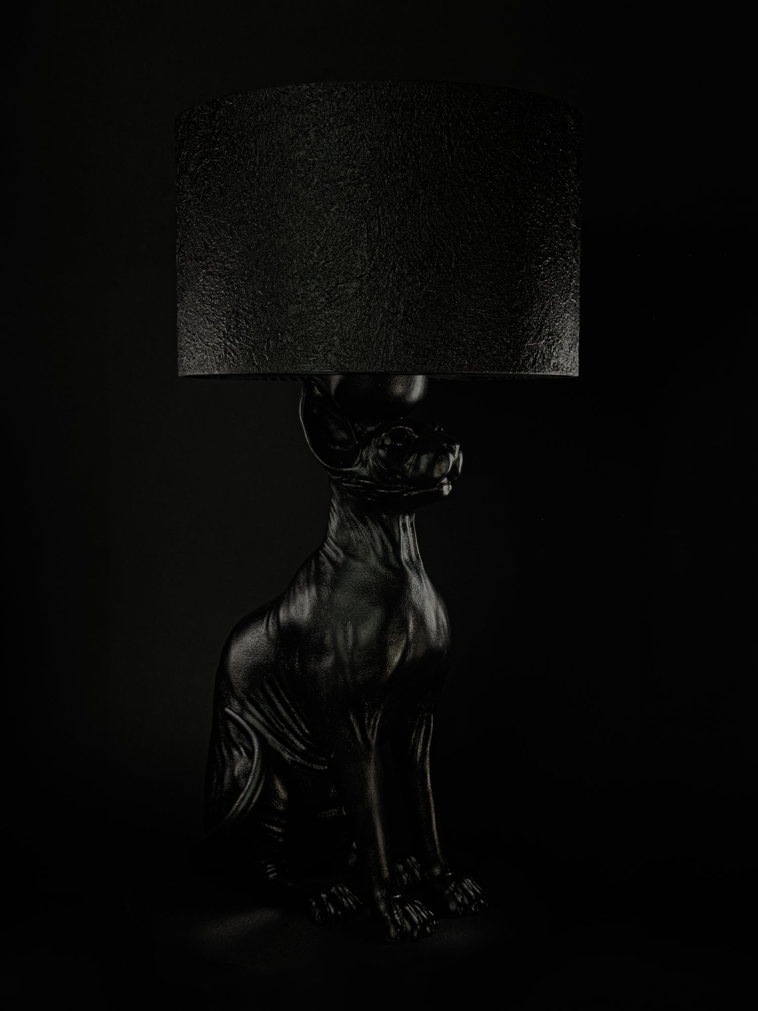 The Watcher