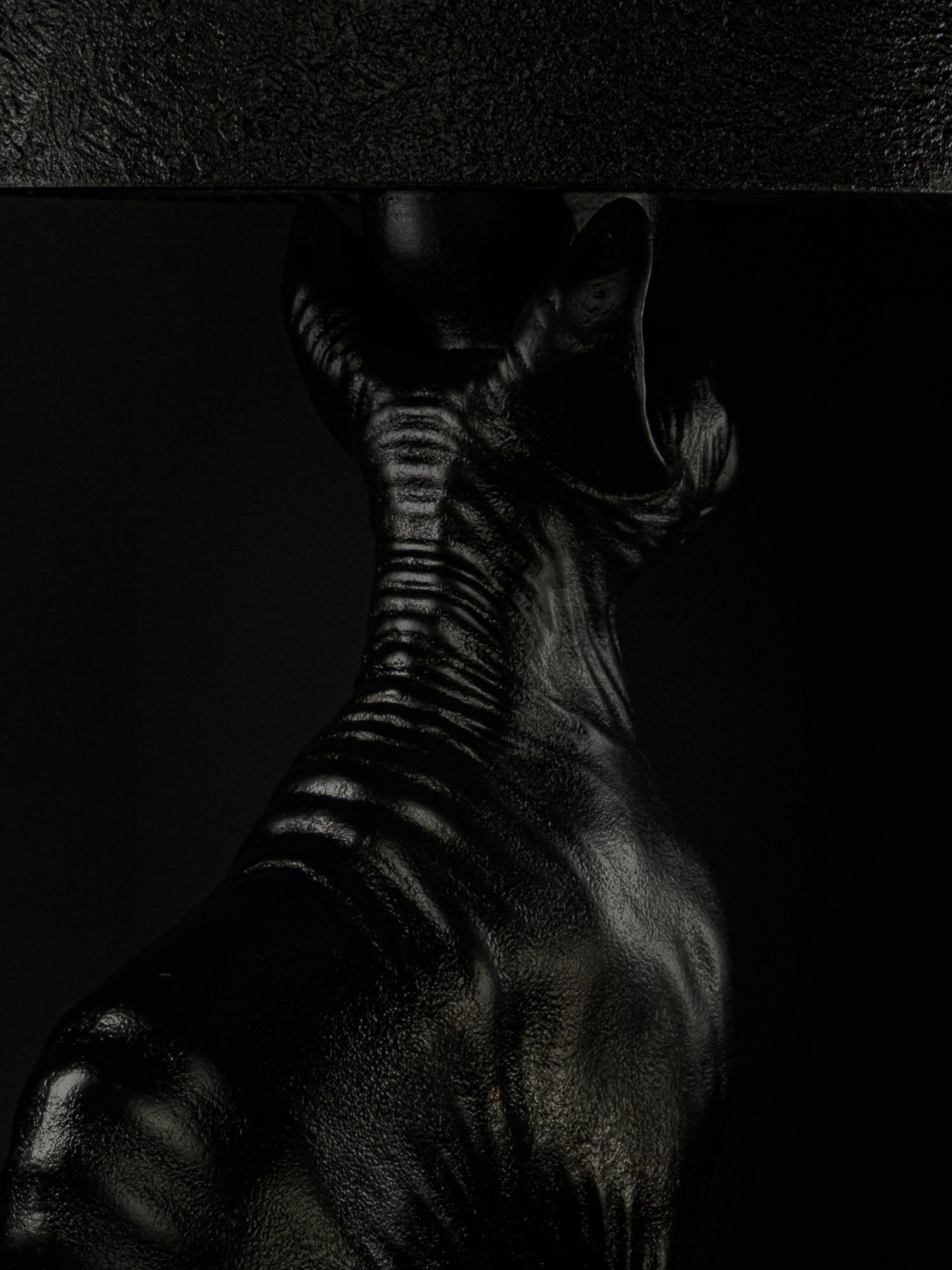 The Watcher