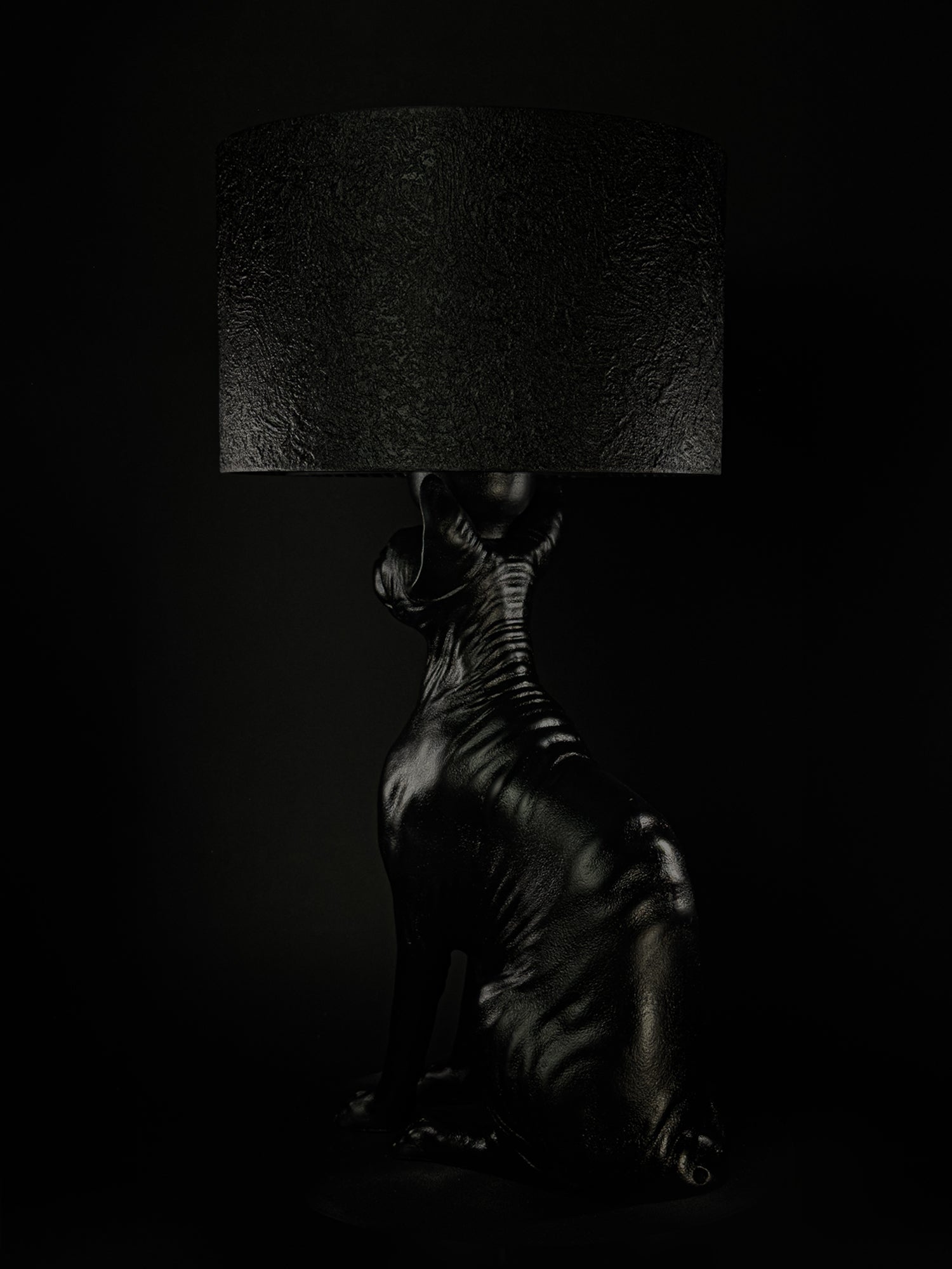The Watcher